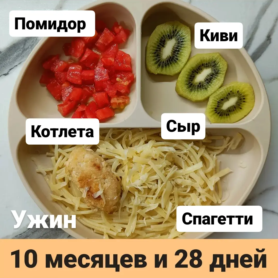 Пример тарелки в 10 месяцев 