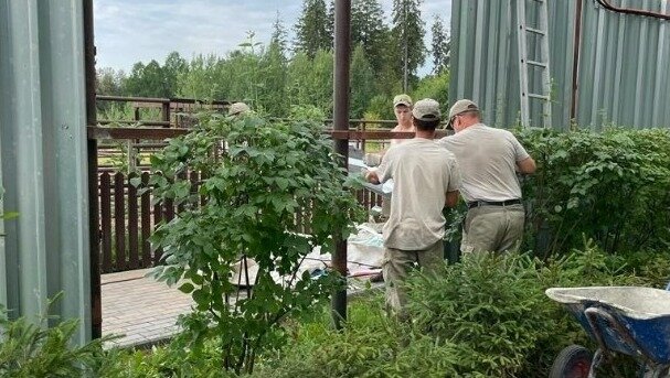     Ижевский зоопарк рассказал о начале расширении своей территории. Там должны появиться вальеры с новыми животными.