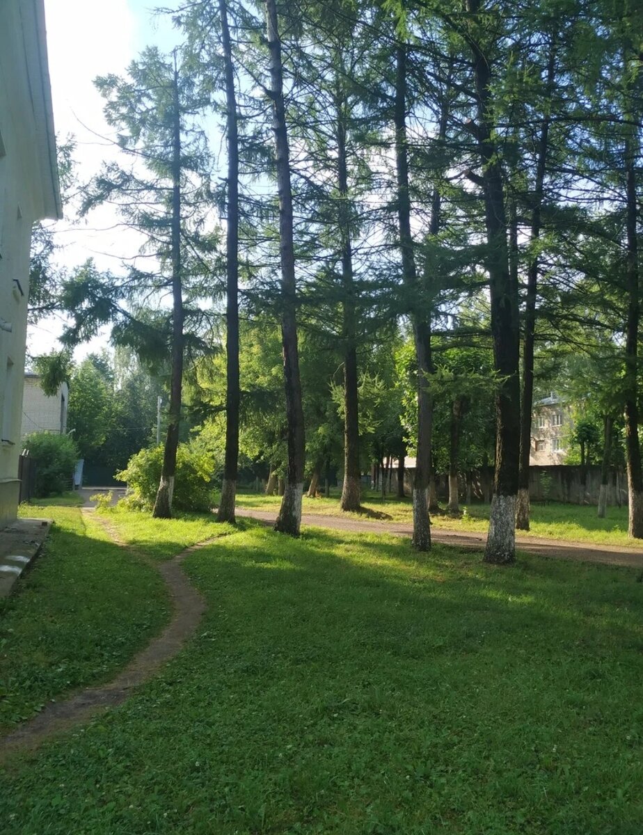 Фото моё, лето 2020г, территория интерната