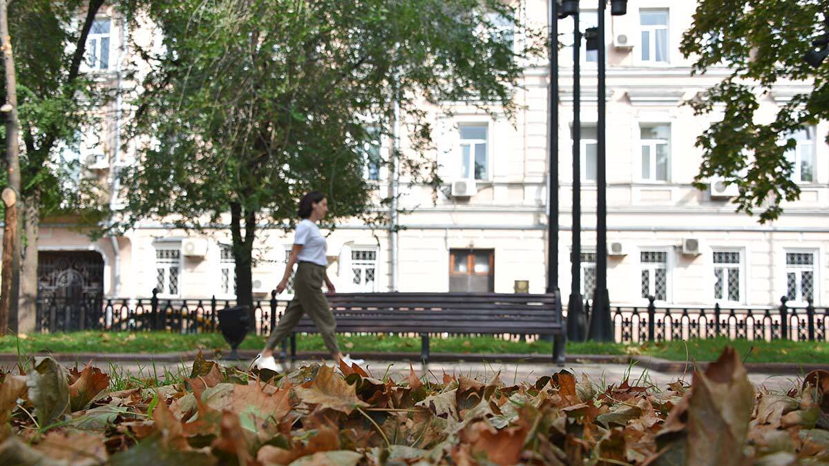    Фото: Пелагия Замятина / Вечерняя Москва