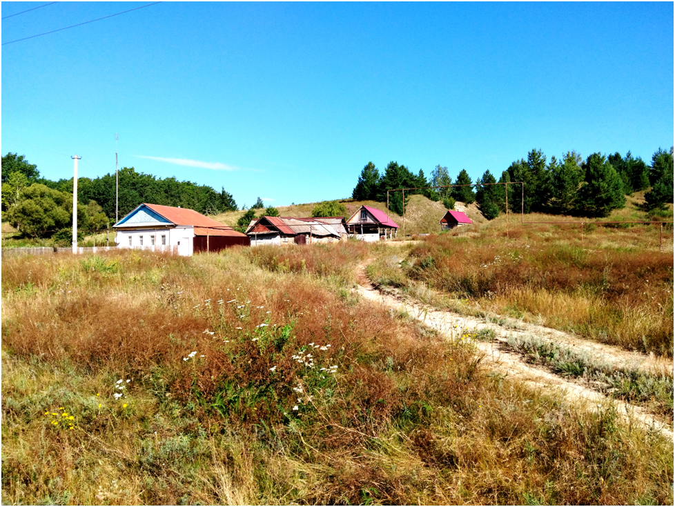 Село николаевка саратовская