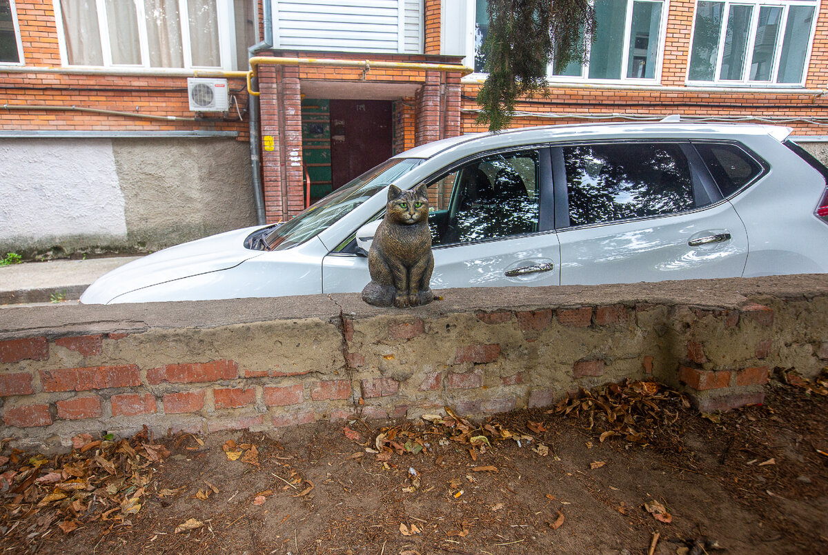 Памятник кошке Мусе. Лыткарино, Московская область. Фото автора статьи (листайте галерею, ещё 2 фото)