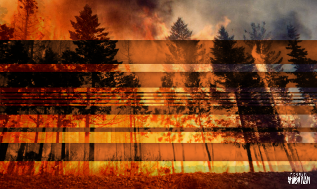    Лесной пожар Иван Шилов, ИА REGNUM