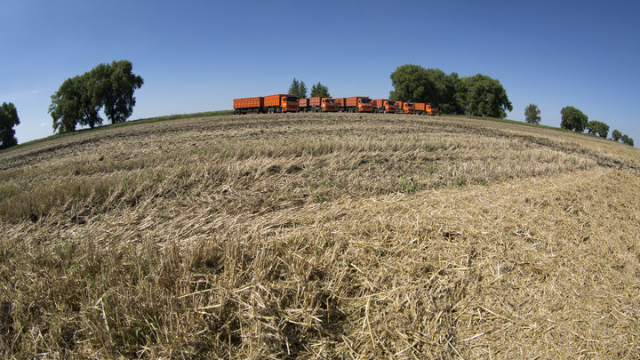 ФОТО: NIKOLAY GYNGAZOV/GLOBALLOOKPRESS
