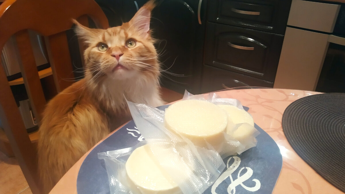 Мейн кун Степа.