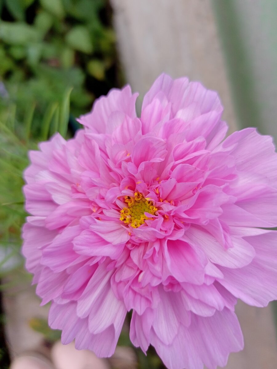 Фото Ирина Станько