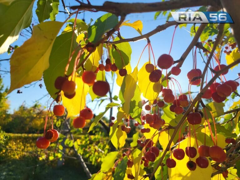    Россияне рассказали, как справляются с осенней хандрой Кристина Просвиркина