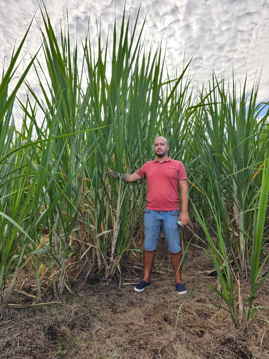 С применение технологий NAGRO