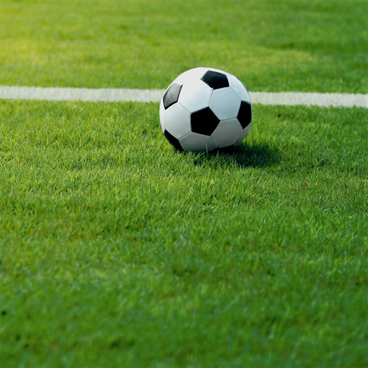 Спортивный газон. Спортивный рулонный газон. Спортивный газон футбольный. Футбольный газон рулон.