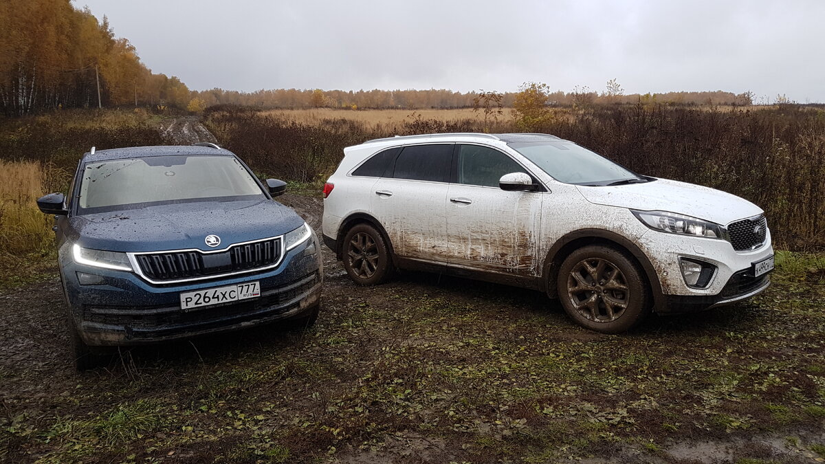 Когда нет смысла переплачивать за ТОЙОТУ! Соренто ПРАЙМ или Кодиак? Skoda  Kodiaq KIA Sorento Prime! | Сlickoncar | Дзен