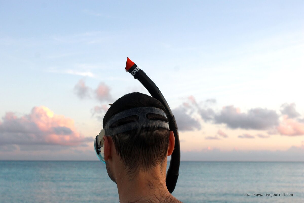 К заплыву - всегда готов!