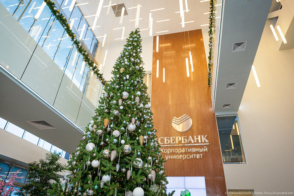 корпоративный институт сбербанка истра. корпоративный университет сбербанка истра. корпоративный университет. корпоративный университет сбербанка в аносино. сбер университет адрес.