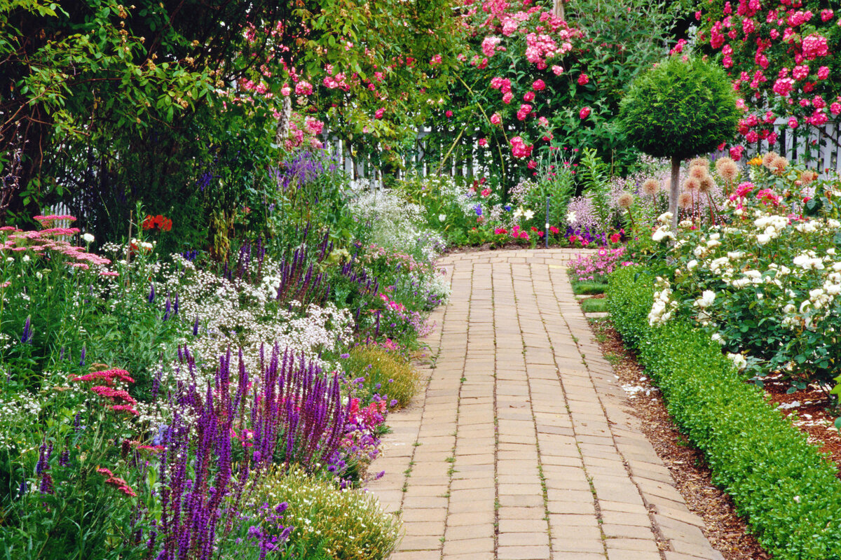 Неприхотливые и долгоцветущие цветы «многолетники» для сада: фото, названия, описание