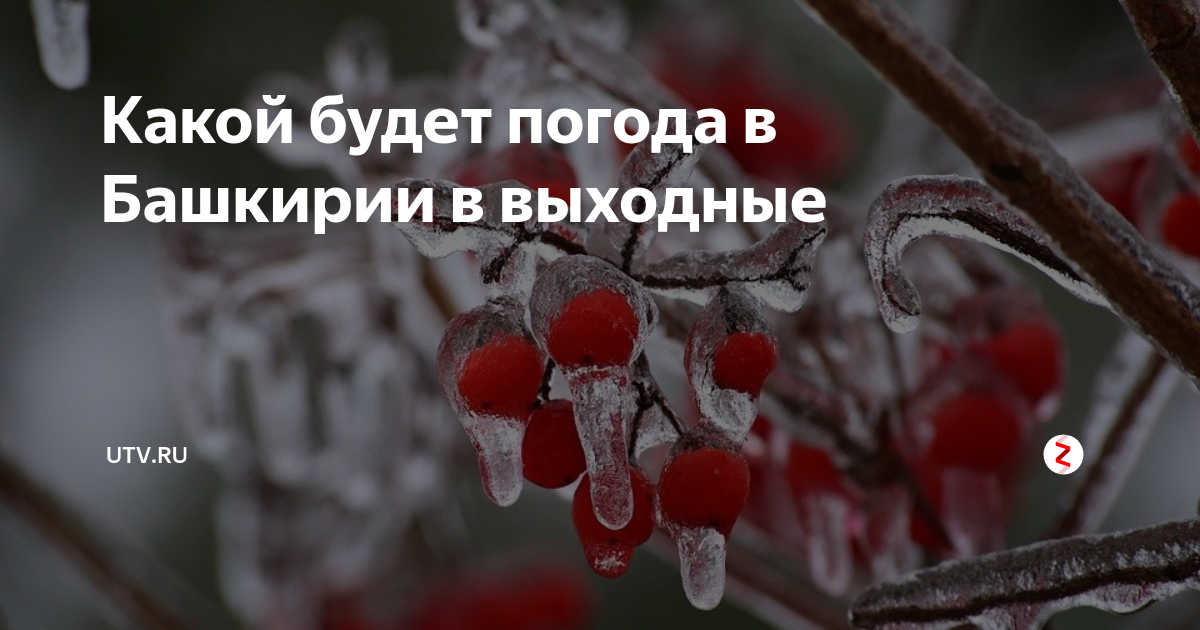 Какой будет погода в Башкирии в выходные | utv.ru | Дзен
