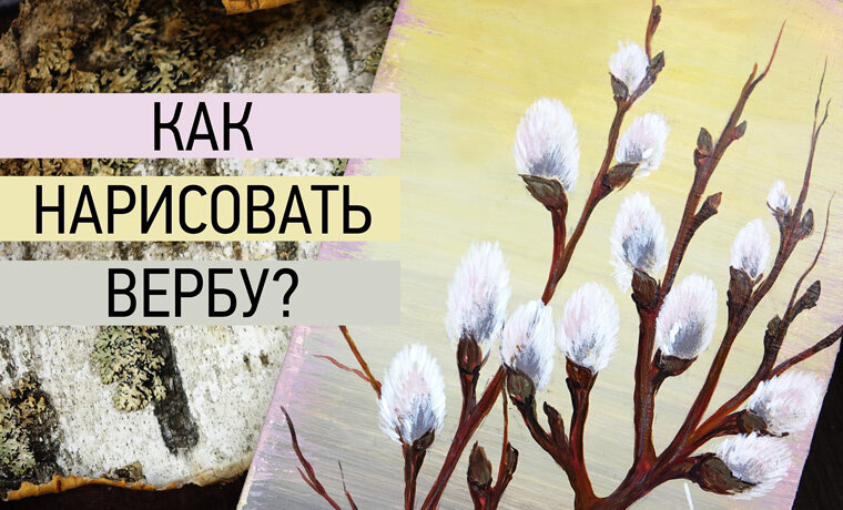 Как нарисовать вербу 4 класс