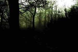 Спустя некоторое время эта история стала забываться. На острове поселились несколько семей племени эльмоло, которые устали воевать с соседями. Ими была построена дерев­ня, вполне пригодная для жизни. Они занимались рыбалкой, а рыбу обменивали на хлеб и молоко. Но, однажды род­ственники, решив посетить их, нашли только покинутую деревню и по­тухшие костры. Несколько десятков человек с маленького острова исчезли бесследно. Что произошло с ними, можно только предполагать.