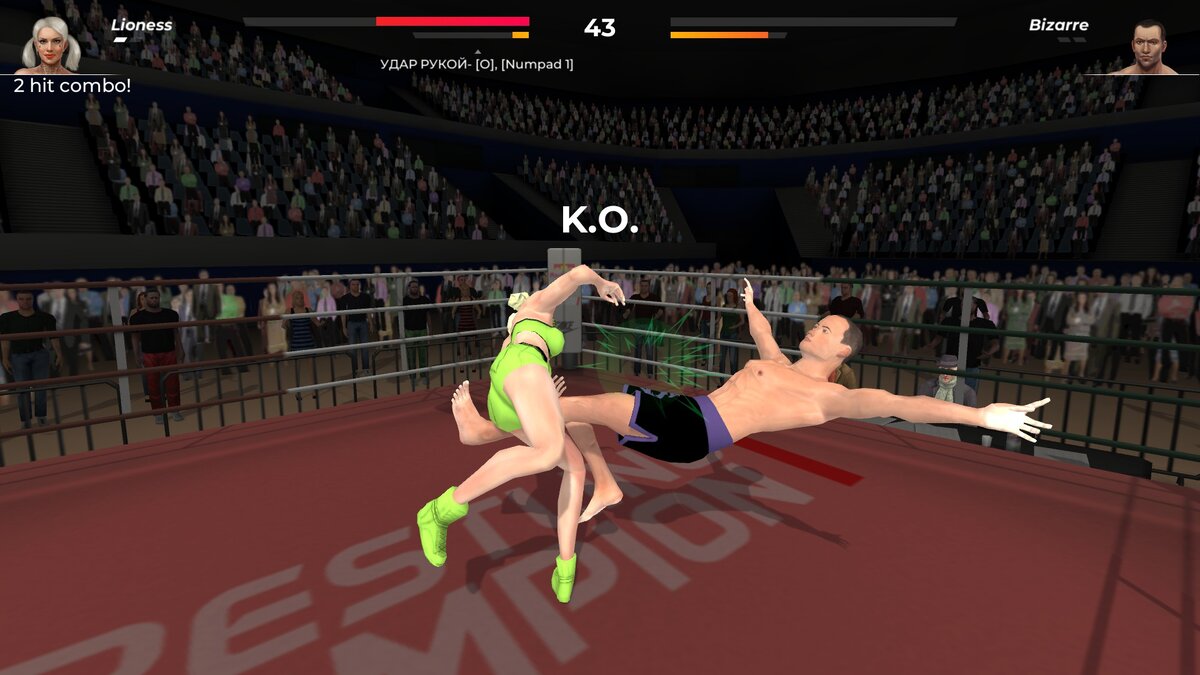 Девушки и смешанные единоборства. Обзор игры Wrestlers Without Boundaries |  Обзоры на игры steam | Дзен