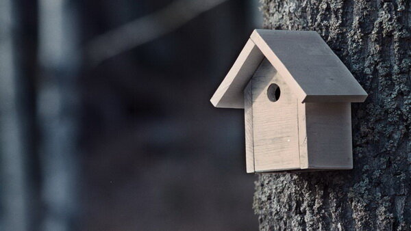 Взрывчатые вещества, оружие и килограмм амфетамина. Владение всем этим привело 39-летнего жителя коммуны Bjuv, что недалеко от Хельсингборга, в тюрьму, сроком на 3 года и 6 месяцев.