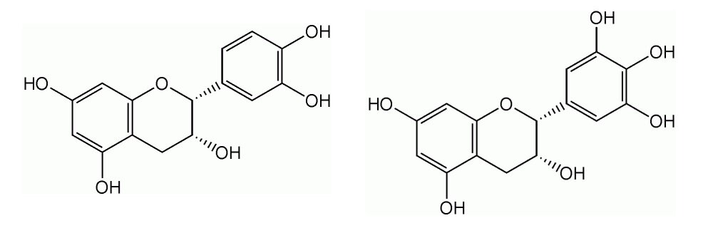Полифенолы: эпикатехин и эпигаллокатехин