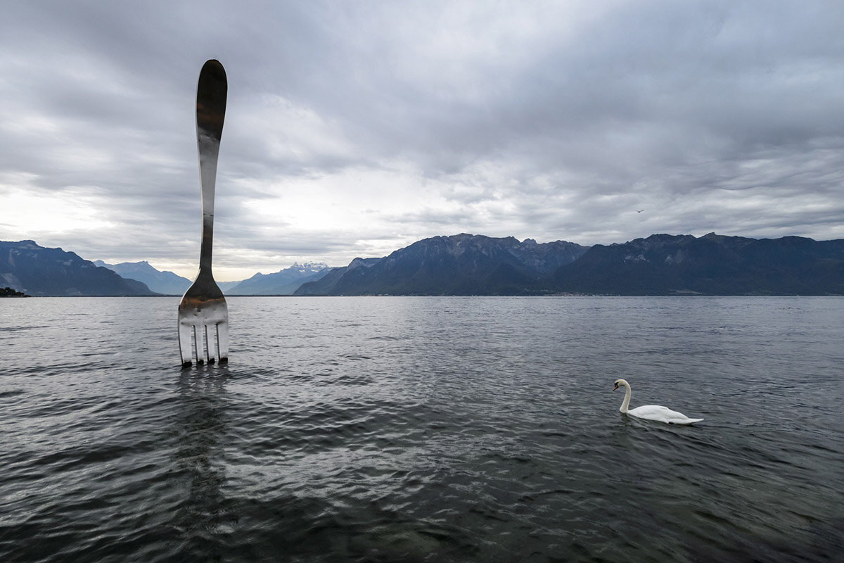 Вилами по воде писано предложение. Швейцария Женевское озеро вилка. Вилами по воде. Вилка в Женевском озере. Женевское озеро рыба.