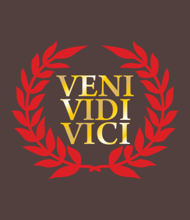 Veni vidi vici. Veni vidi Vici герб. Veni vidi Vici Цезарь. Veni vidi Vici эскиз. Veni vidi Vici тату эскиз