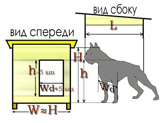 Лежаки, домики для собак