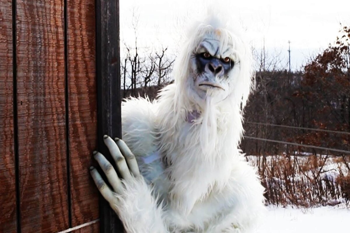 Welcome to Yeti Park