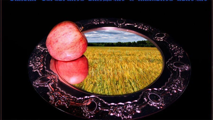 Фото взято с просторов интернета.