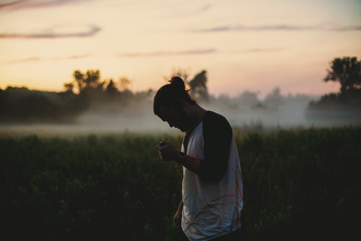 Источник: unsplash.com