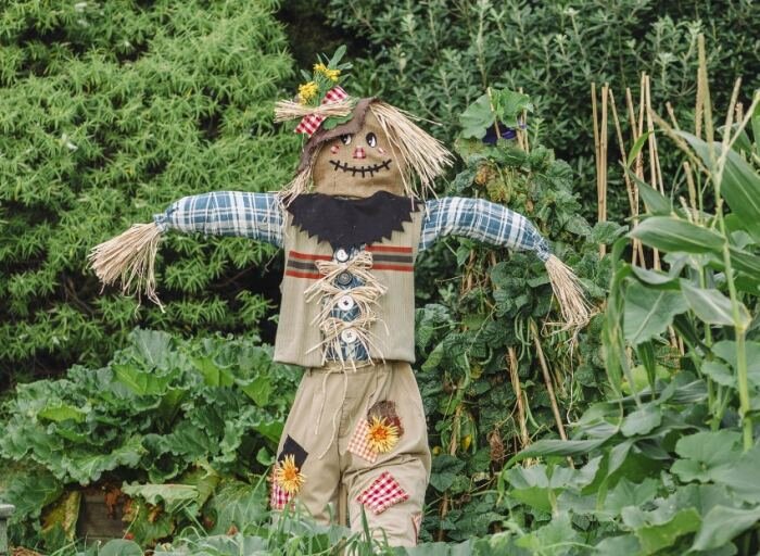 Огородное пугало своими руками: защитник урожая и украшение сада | HANDMADE | Дзен