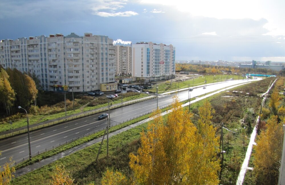 Наша дорога. Справа, напротив домов, пустырь, где мы гуляем с собакой. 