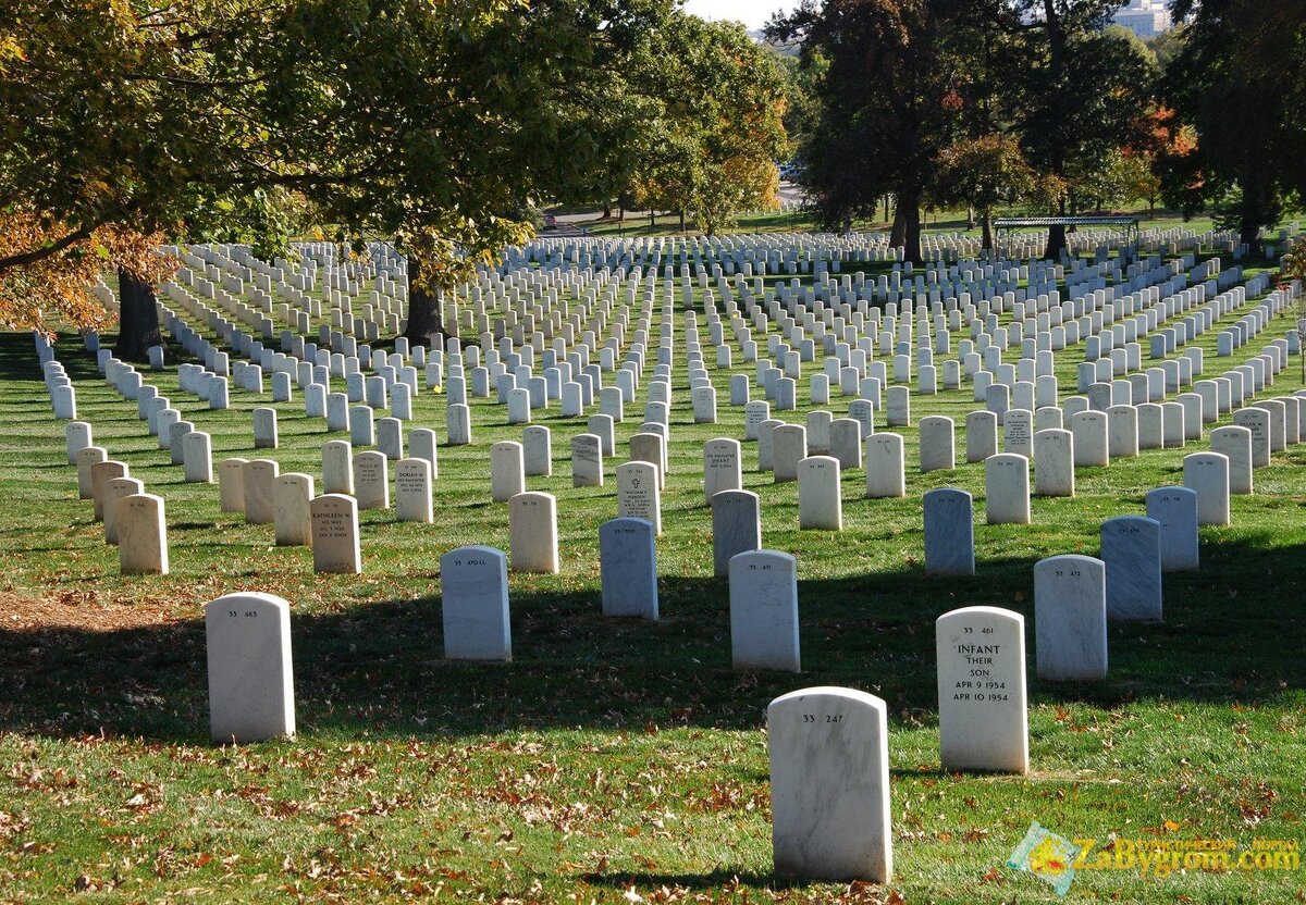 Фото с сайта http://techno-park.spb.ru