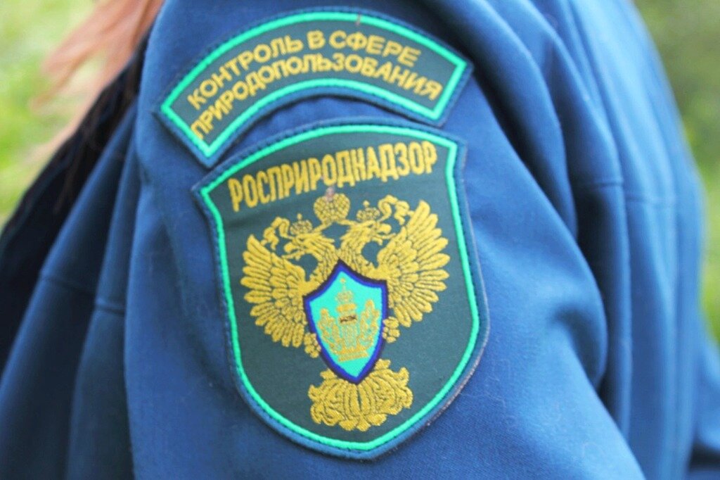 Фото: Правда УрФО