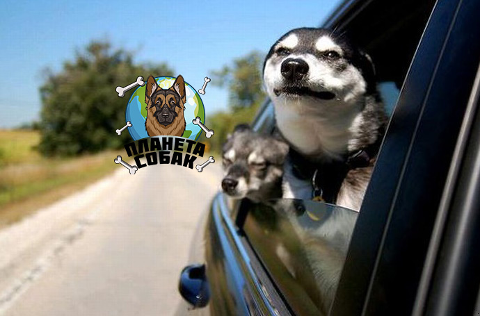 Подписывайтесь на канал, ставьте лайки. Поможете развитию канала. Спасибо.