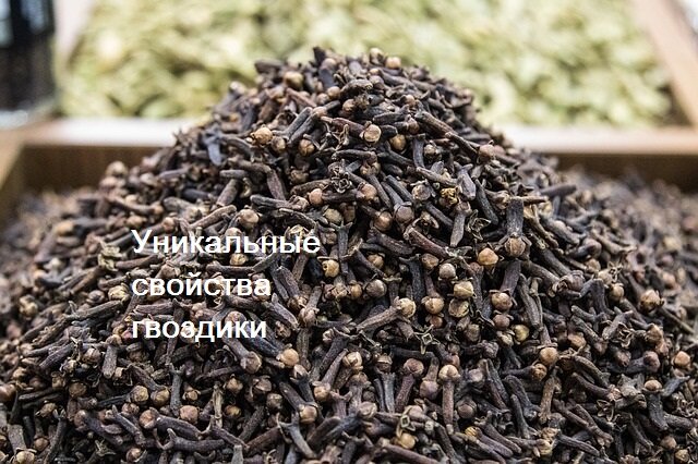 От каких болезней помогает сушеная гвоздика? Зачем некоторые люди жуют ее регулярно?