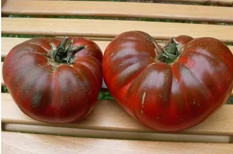 Томат Поль Робсон