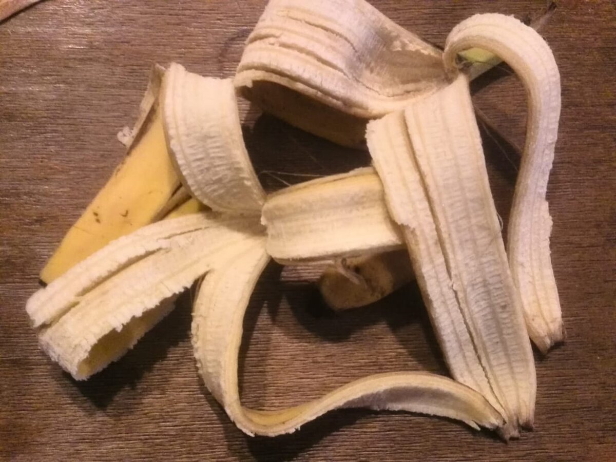 Банановая кожура для рассады перца. Размельченная банановая кожура. Банановая кожура скорлупа для рассады. Банановая кожура для герани. Банановая кожура для томатов.