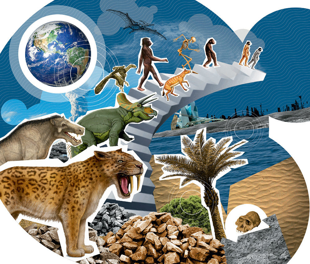 Иллюстрация Андрей Дорохин