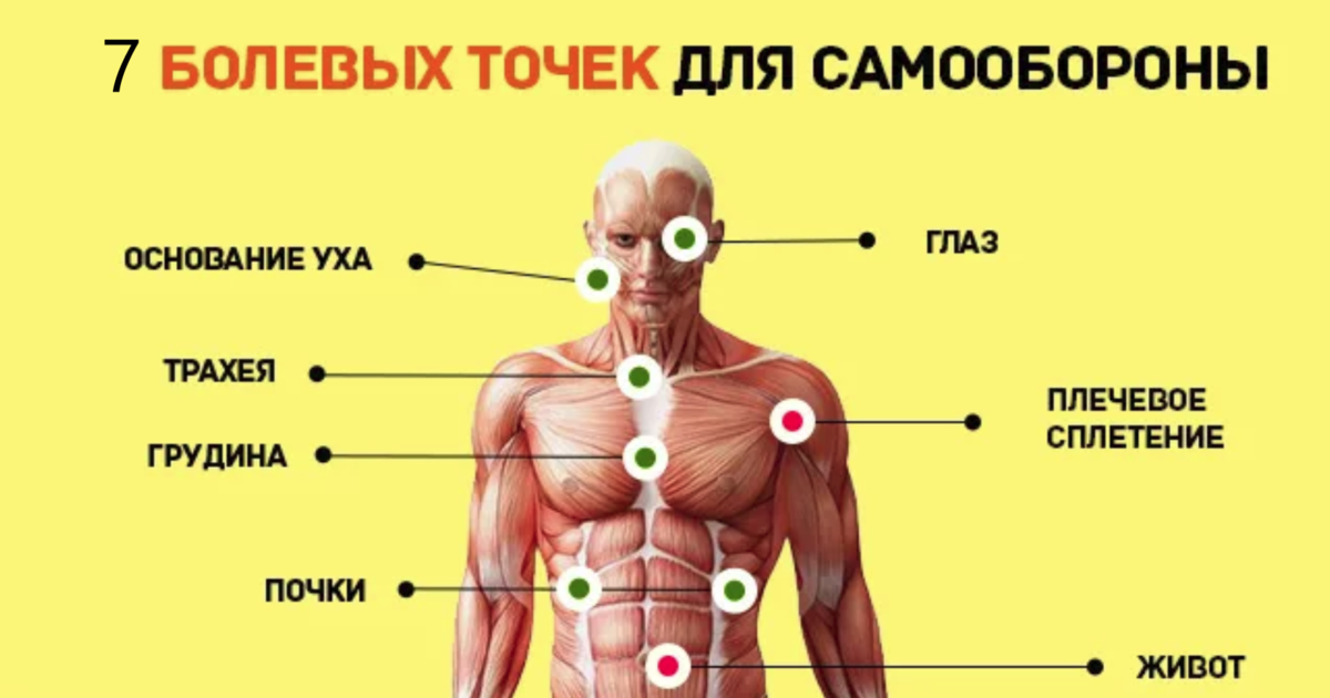 Слабые точки человека на теле. Болевые точки на теле человека для самообороны. Где находятся болевые точки.