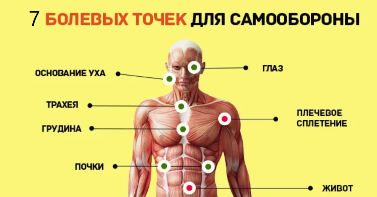 Где очень быстро. Уязвимые болевые точки на теле человека. Слабые точки человека на теле. Болевые точки на теле человека для самообороны. Самые больные точки человека.