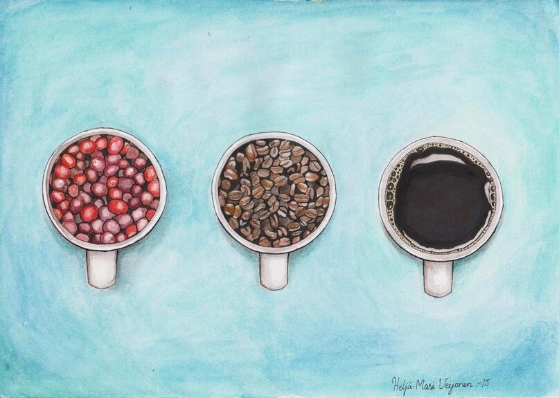 Привкус кофе. Вкусовая палитра кофе. Колесо вкусов кофе. Круг вкусов кофе. Вкусовая диаграмма кофе.