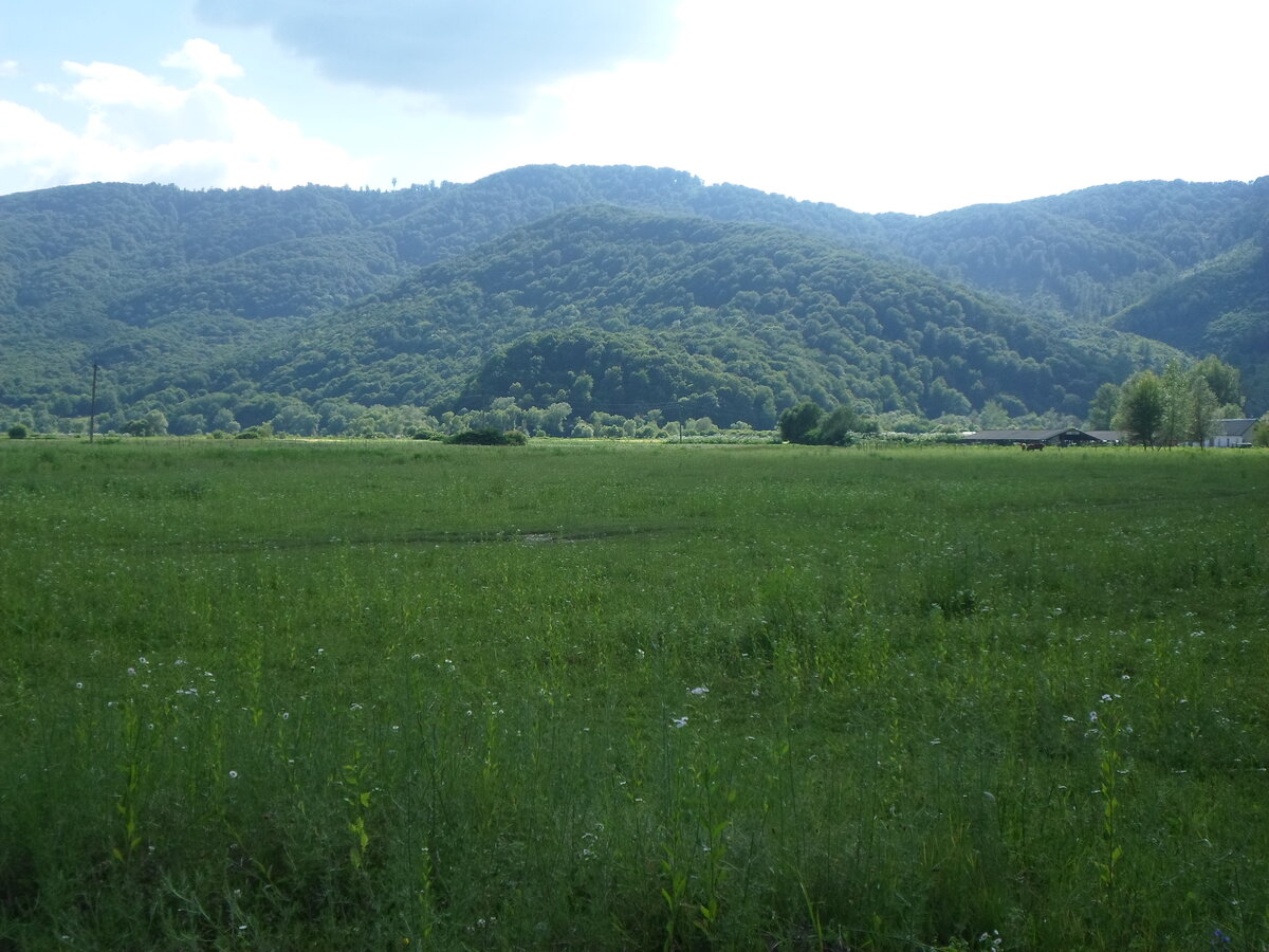 Край на украинском. Венгерское село в Закарпатье. Закарпатье границы. Закарпатье граница природа. Карпаты границы.