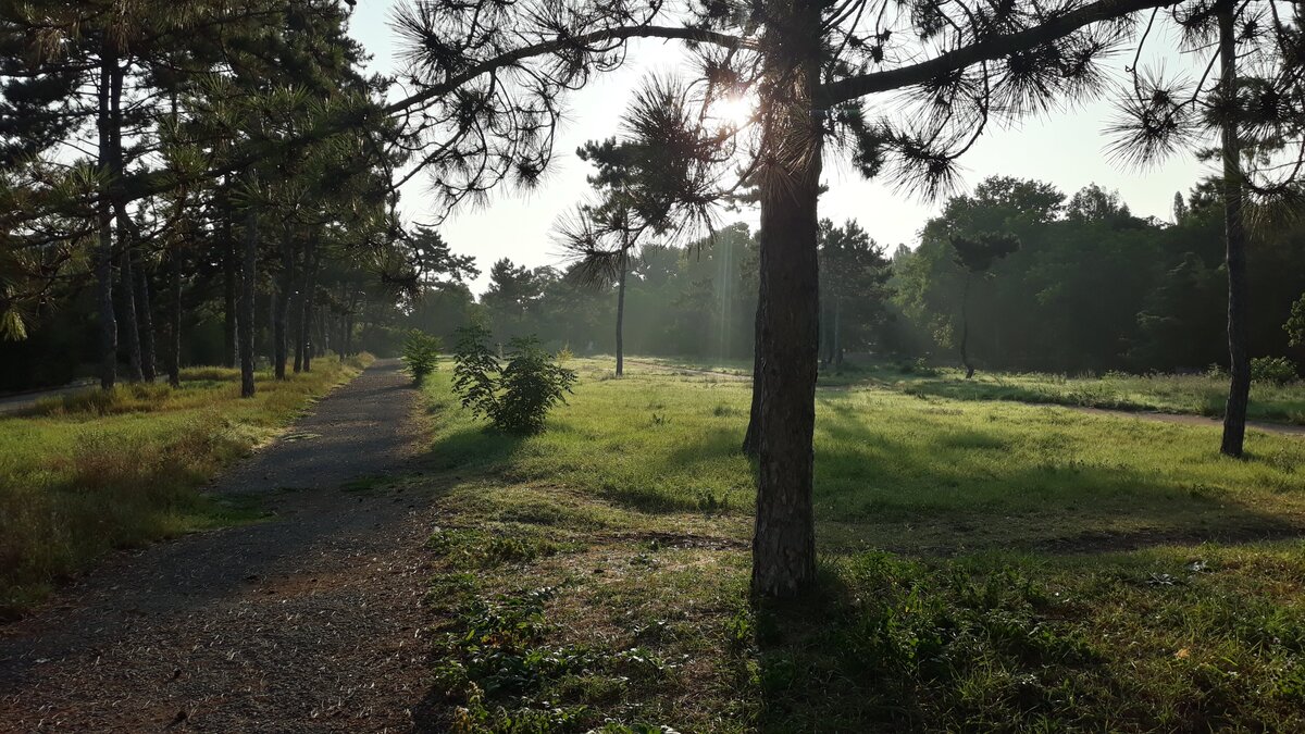 Безлюдная полянка возле Гагаринского парка.