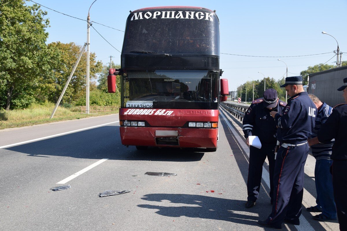 Рязань москва автобус