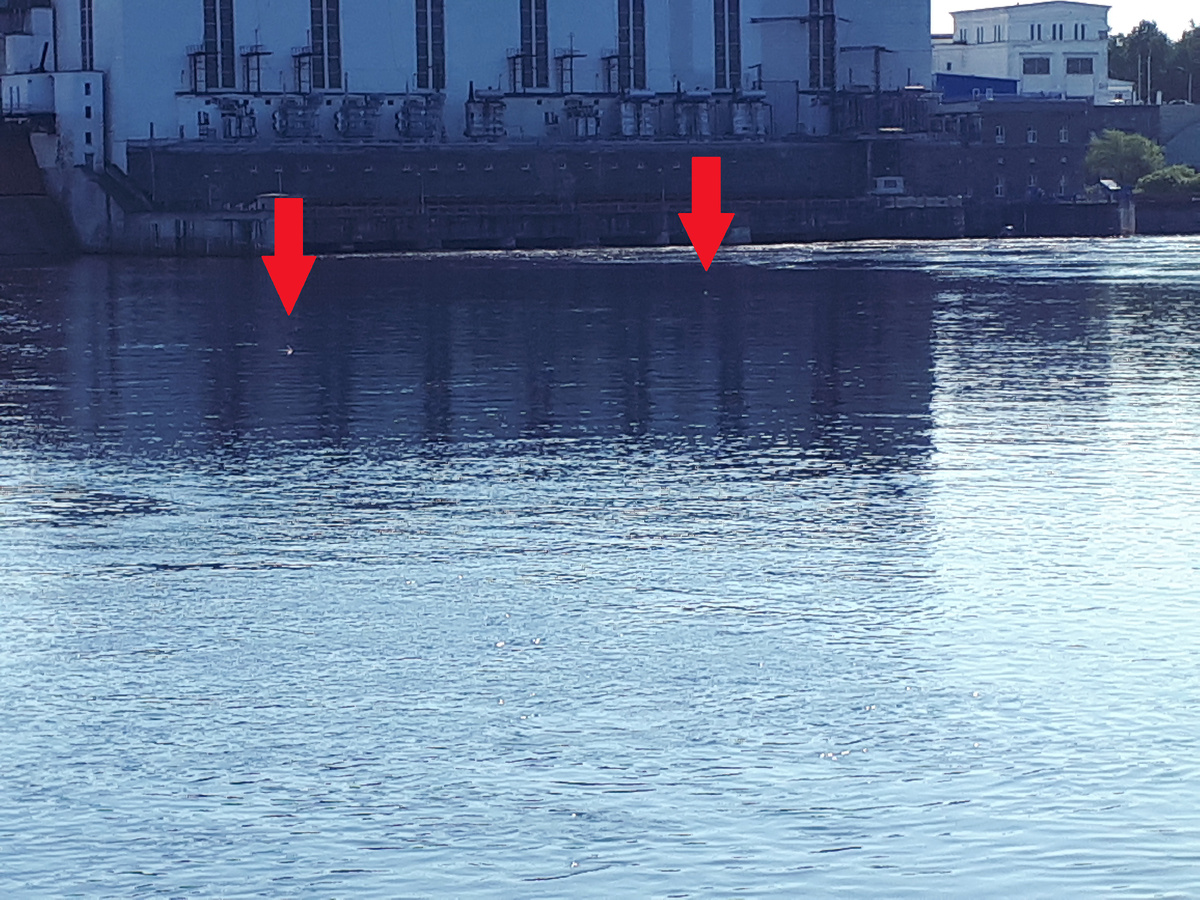 2 из 4  замеченных бутылок