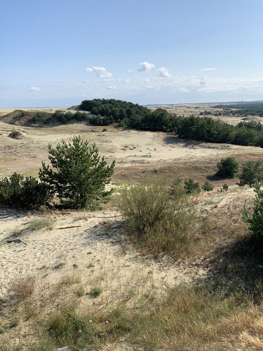 Высота Эфа.