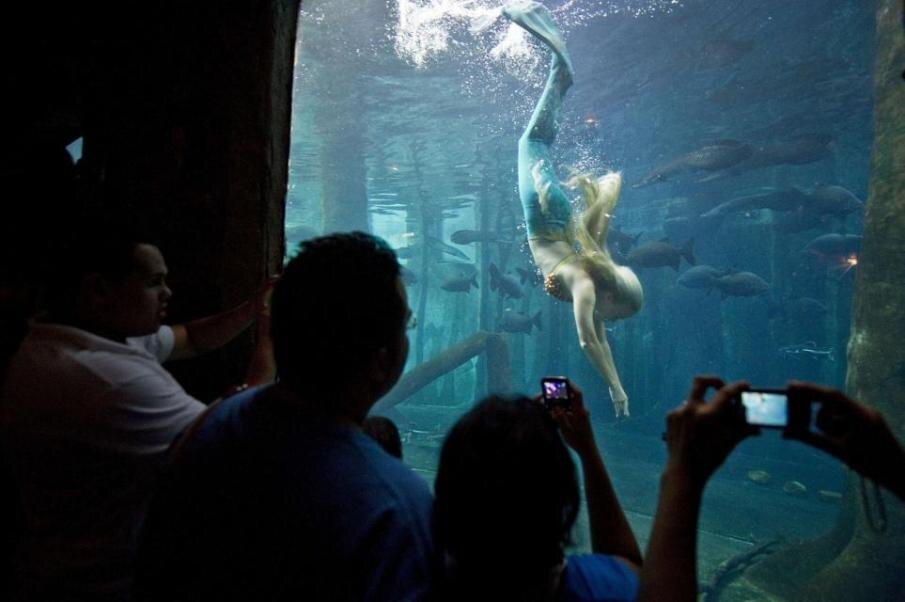 Мирелла Феррац / Фото с сайта http://terraoko.com