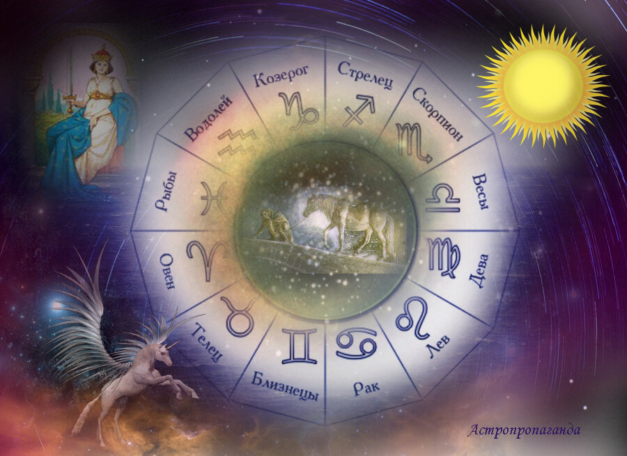 Коллаж Нины Стрелковой.