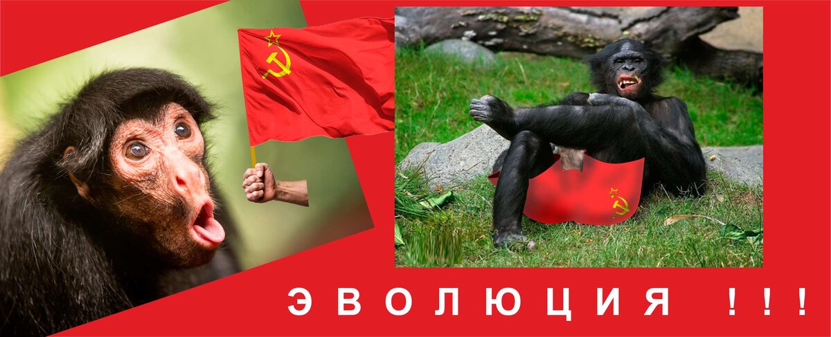 Эволюцию не обманешь!