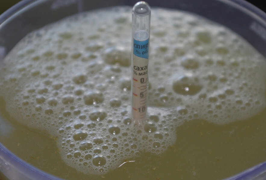 Фото взято из открытых источников